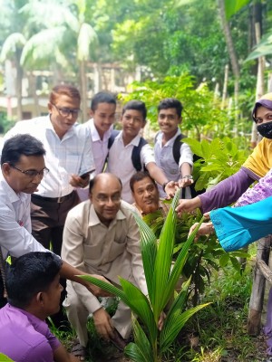 নারকেল বৃক্ষ রোপন